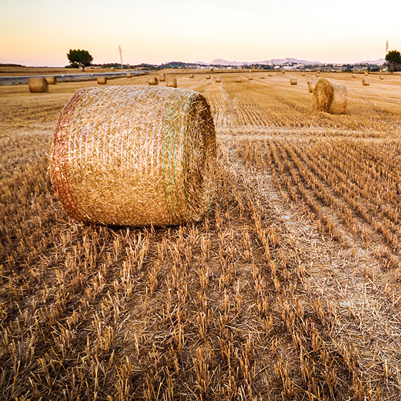 Rešenje se bazira na principu postojanja svih poslovnih entiteta