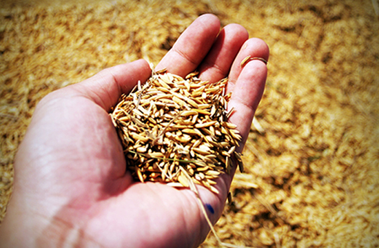 Preduzeća kojima nasi softverski proizvodi mogu biti značajni